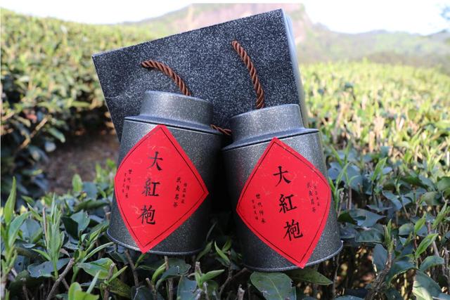 武夷岩茶小秘密：大红袍的香气有哪些？