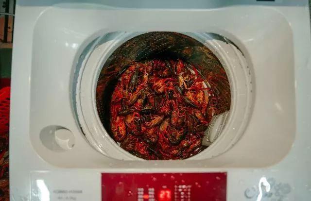 用洗衣机洗小龙虾 是不是个好主意？