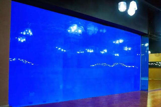 揭秘 | 西安首家海底餐厅即将开业，浪漫实景图先睹为快！